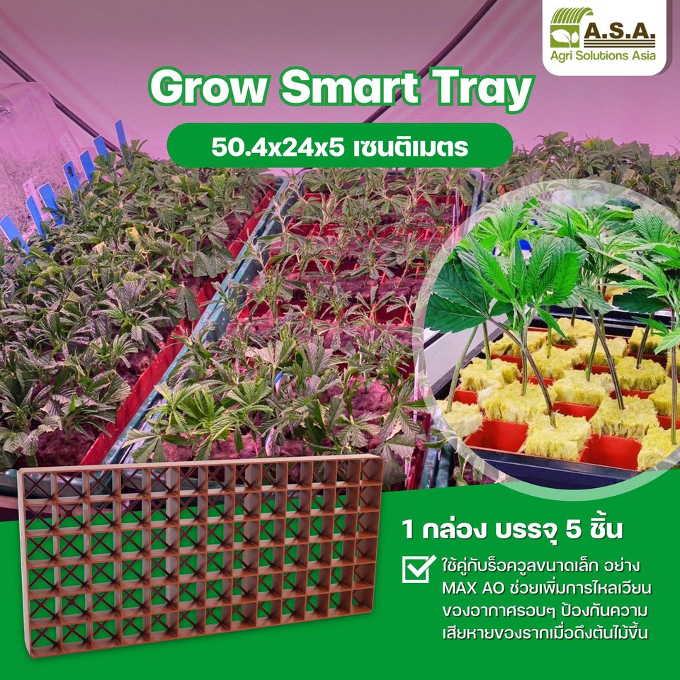 Grodan GroSmart Tray Agri Solutions Asia