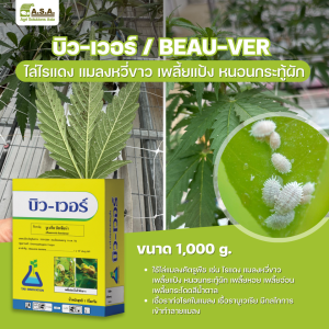 BEAU-VER