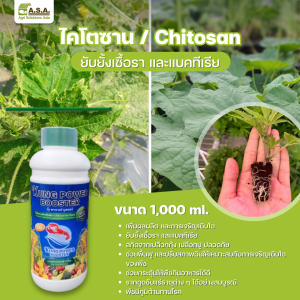 Chitosan