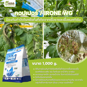 Irone WG