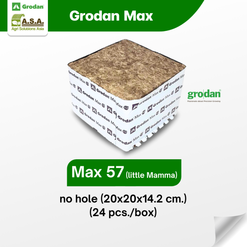 Grodan Max 57 Block (Little Mama)