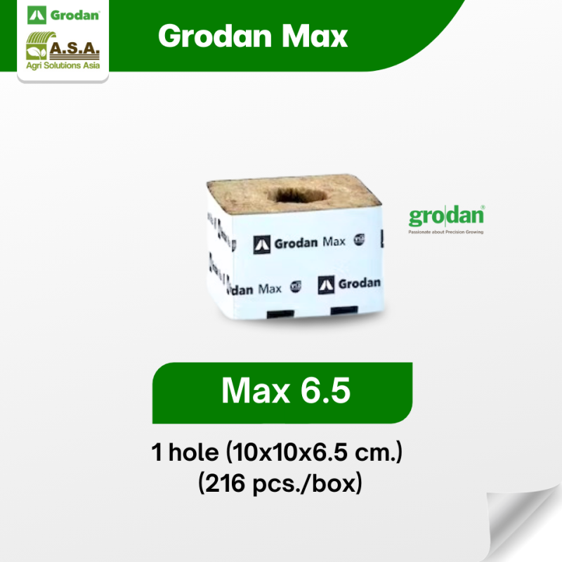 grodan max 6.5