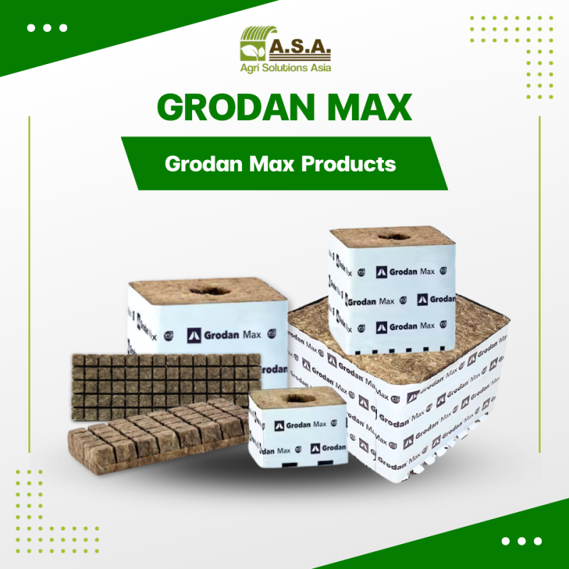 all Grodan max products Thailand