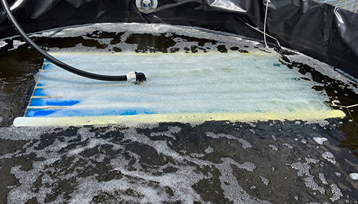 Water Oxygenation Technology