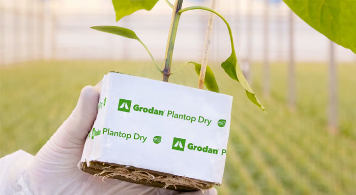 Official Distributor of Grodan Products in Thailand.