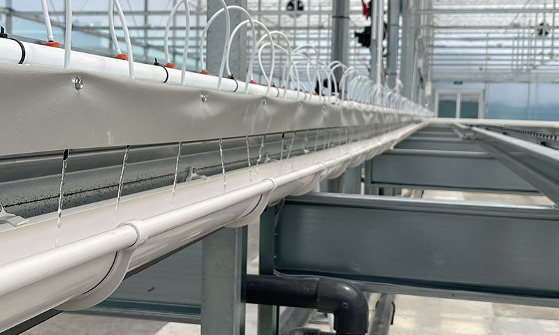 Precision irrigation leverages real-time data from irrigation and climate sensors to optimise water usage and maximise crop yield.