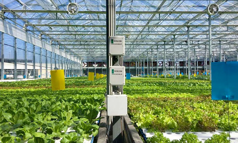 Irrigation and climate control in tropical greenhouses.