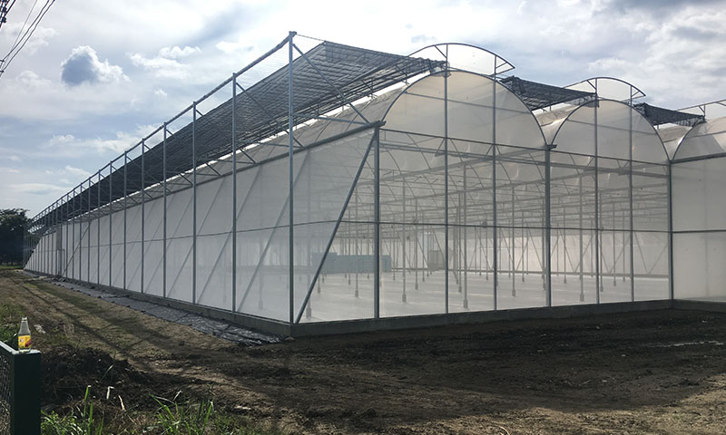Our ASA tropical greenhouse is precisely designed to excel in the unique conditions prevalent in tropical regions. It incorporates unique design features that facilitate a constant natural ventilation process.