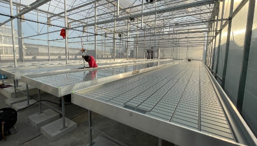 Nursery and Propagation Systems