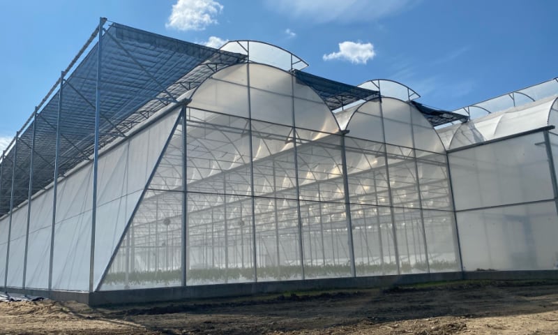 Our custom-designed greenhouses thrive in tropical climates, integrating advanced climate control and irrigation systems to optimize plant health and yield.