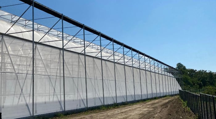 Greenhouse projects in Thailand and Asia.