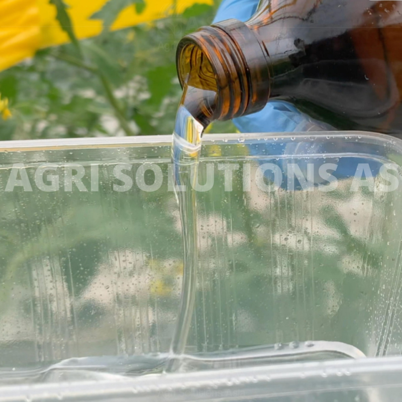 Insect glue for insect trap (1 liter bottle) - Image 2