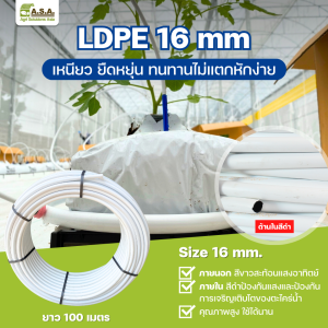 White LDPE 16 mm PE 100 m roll