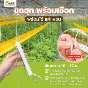 Tomato hook with twine (double bare 18cm)