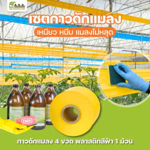 SET Yellow sticky trap (1 roll and 4 bottle insect glue)