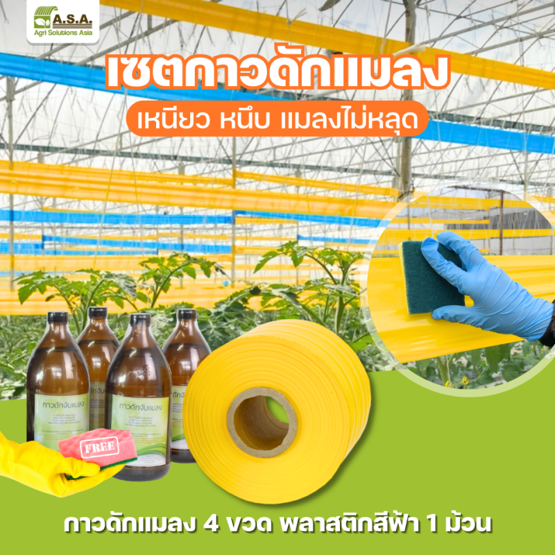 SET Yellow sticky trap (1 roll and 4 bottle insect glue)