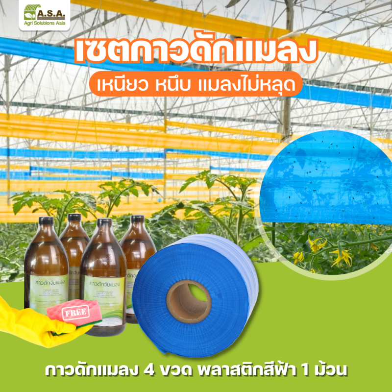 SET Blue  sticky trap (1 roll and 4 bottle insect glue)