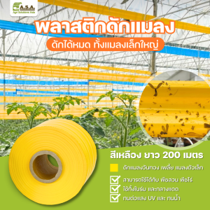 Insect Trap (Yellow plastic)  200 m./roll