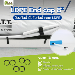 ASA LDPE End cap "8" - 16 mm