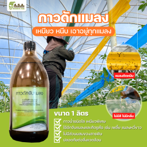 Insect glue for insect trap (1 liter bottle)