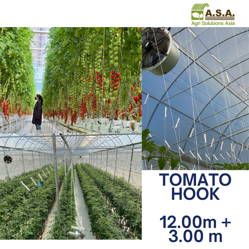 Tomato hook with twine (double bare 18cm) - Image 2