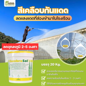 Sombrasol