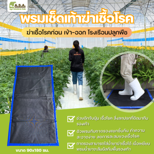 Disinfection mat