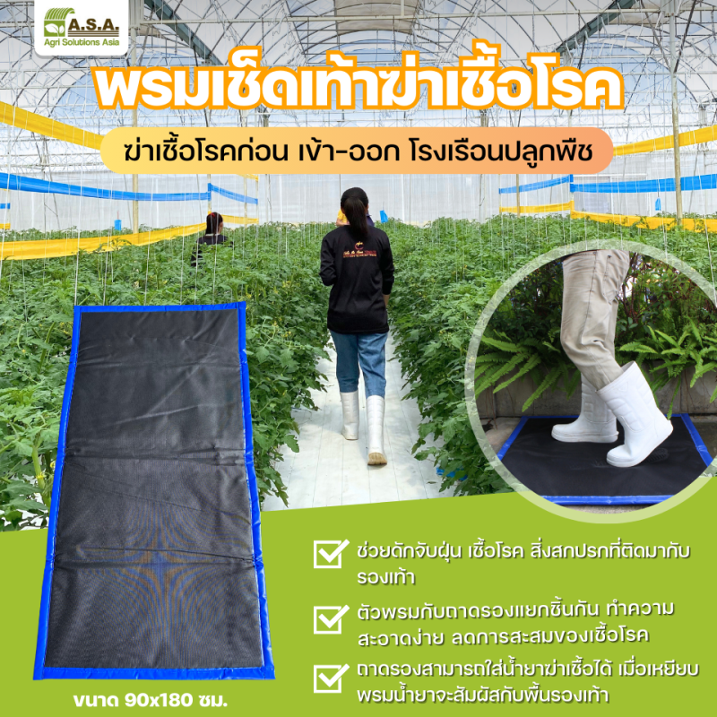 Disinfection mat