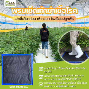 Disinfection mat