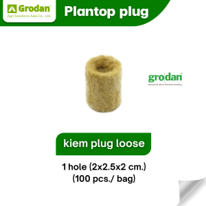 kiem plug loose