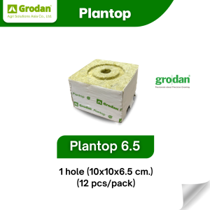 Grodan Plantop 6.5